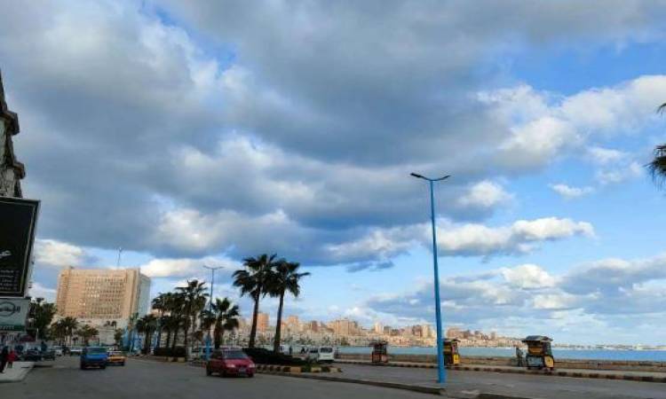 حالة <a href=
