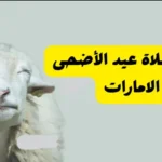 موعد صلاة عيد الأضحى في الإمارات.. دبي وأبوظبي والشارقة وباقي الإمارات السبع