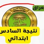 بالاسم والرقم الامتحاني.. نتائج السادس ابتدائي الدور الأول