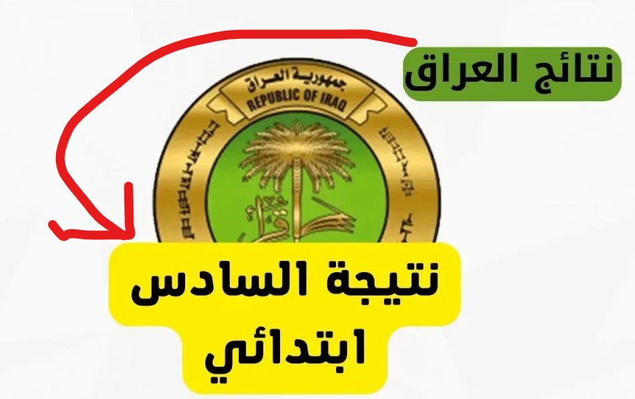 بالدرجــات نتائج السادس ابتدائي الدور الاول موقع نتائجنــا باقي المحافظـات