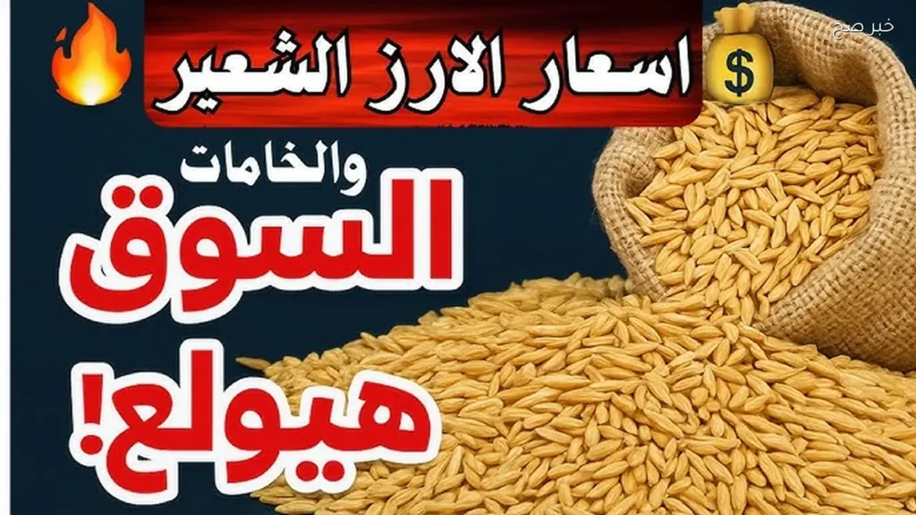 سعر الأرز الشعير اليوم الإثنين 25 مايو 2026 في الأسواق المحلية