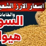 سعر الأرز الشعير اليوم الإثنين 25 مايو 2026 في الأسواق المحلية