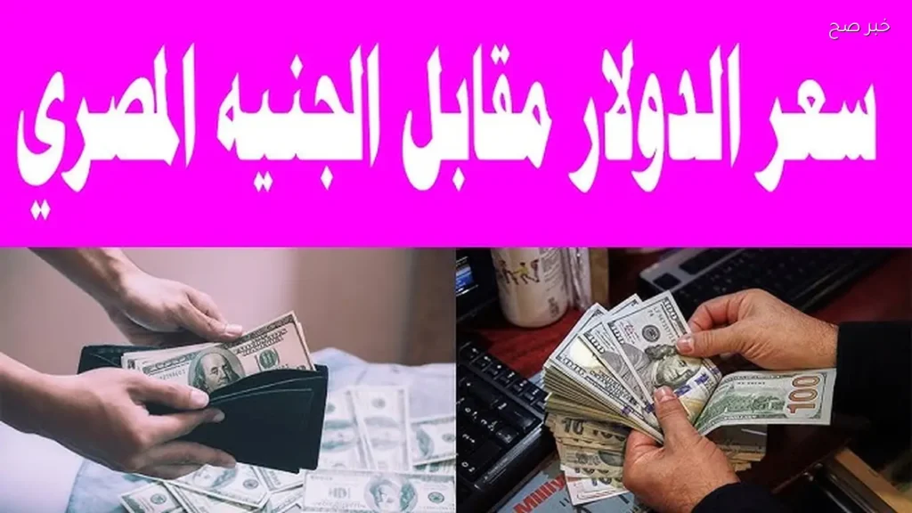 سعر الدولار مقابل الجنيه المصري في مصر اليوم.. تحديث أسعار البيع والشراء داخل البنوك