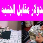 سعر الدولار مقابل الجنيه المصري في مصر اليوم.. تحديث أسعار البيع والشراء داخل البنوك