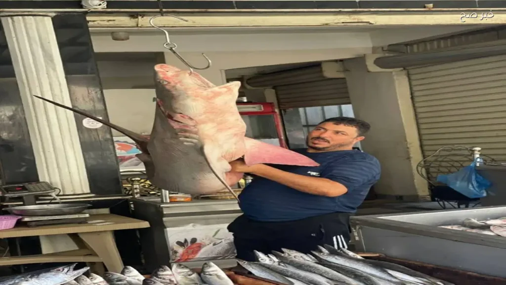 استقرار أسعار الأسماك في أسواق مطروح اليوم الأحد