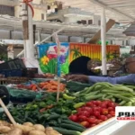 استقرار أسعار الخضار والفاكهة في أسواق مطروح اليوم الثلاثاء
