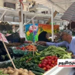 استقرار أسعار الخضار والفاكهة في أسواق مطروح اليوم الثلاثاء