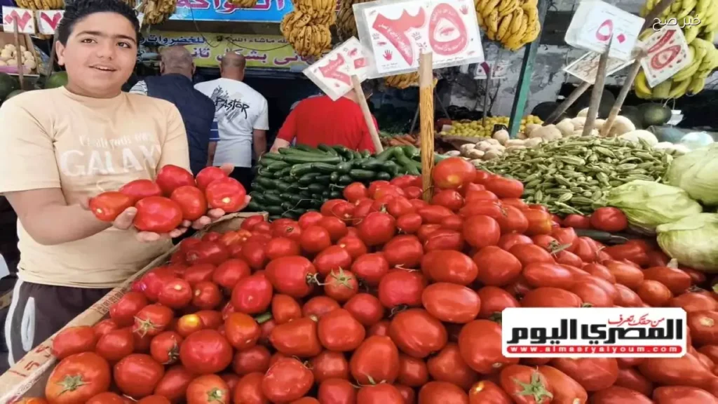 استقرار أسعار الخضار والفاكهة في مطروح خلال عيد الأضحى