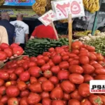 استقرار أسعار الخضار والفاكهة في مطروح خلال عيد الأضحى