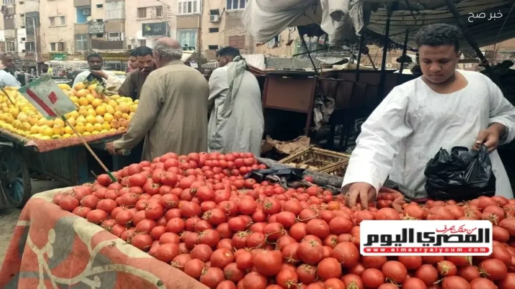 استقرار أسعار الخضروات والفواكه في أسواق الأقصر اليوم
