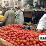 استقرار أسعار الخضروات والفواكه في أسواق الأقصر اليوم