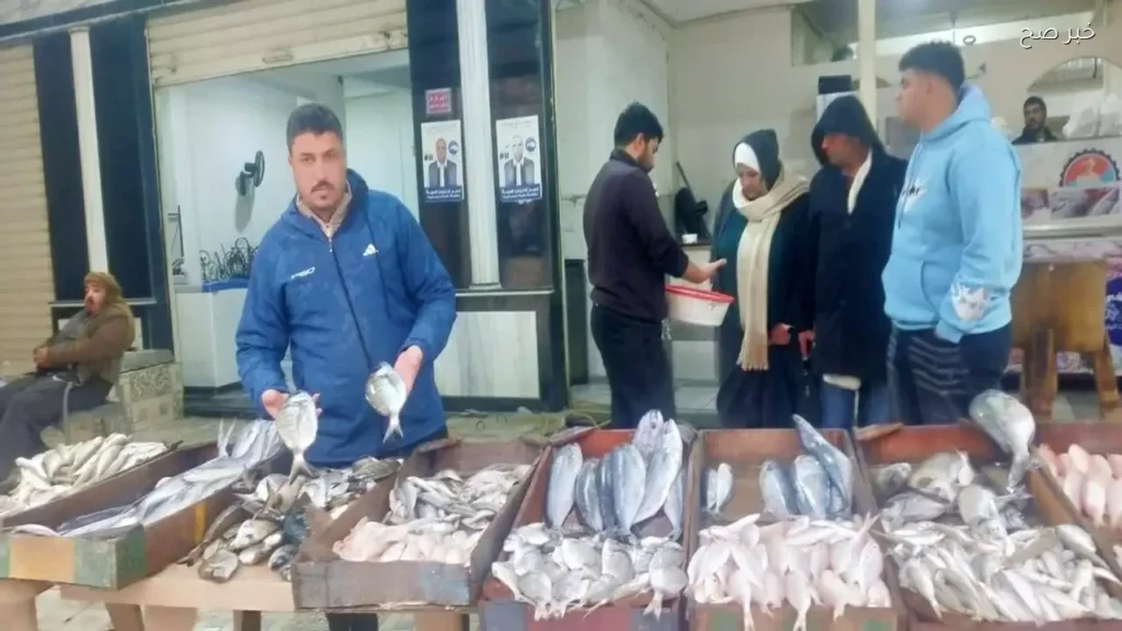 أسعار السمك البلطي والجمبري في الأسواق المصرية اليوم