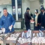 أسعار السمك البلطي والجمبري في الأسواق المصرية اليوم