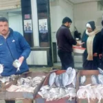 أسعار السمك البلطي والجمبري في الأسواق المصرية اليوم