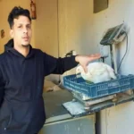 استقرار أسعار الفراخ البيضاء في أسواق مطروح اليوم 26 مايو