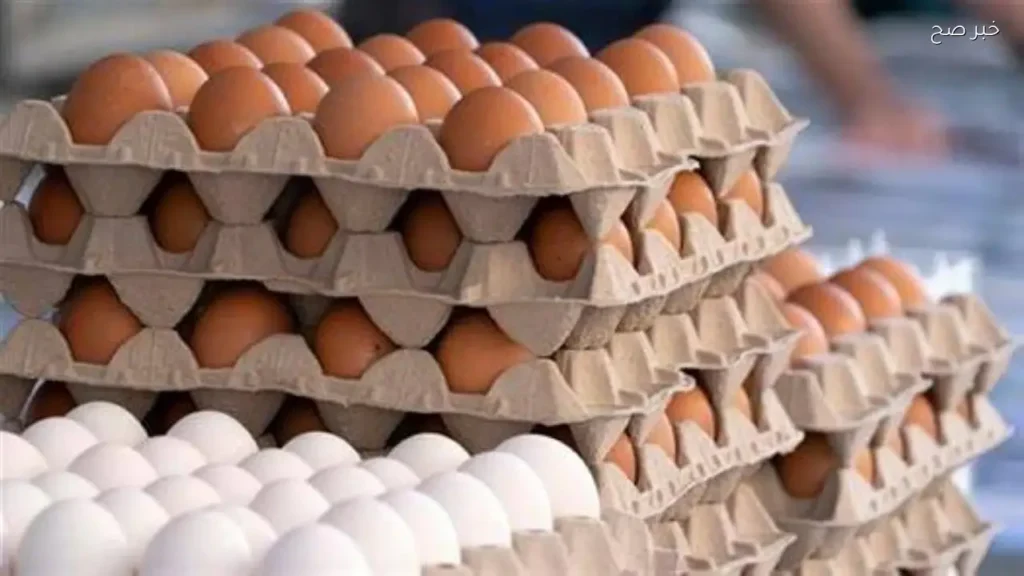 استقرار أسعار الفراخ والبيض في الأقصر اليوم الأحد