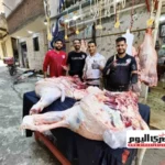 استقرار أسعار اللحوم في أسواق مطروح خلال عيد الأضحى