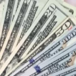 استقرار سعر الدولار أمام الجنيه المصري اليوم الأحد
