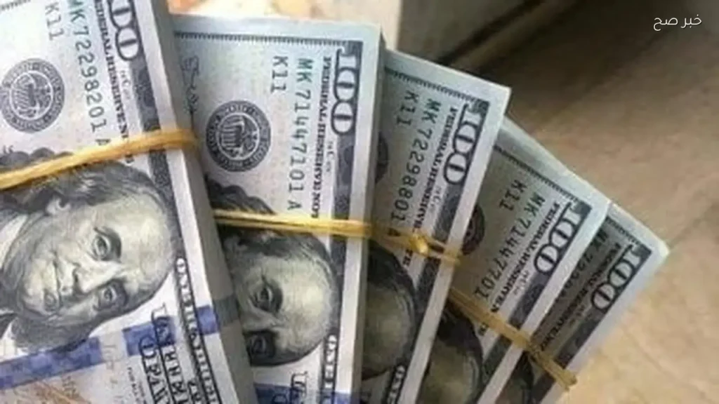 استقرار سعر الدولار أمام الجنيه المصري اليوم الأربعاء