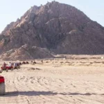 توقعات الأبراج لعام 2026: مصر وجهة مثالية للمغامرة والاسترخاء