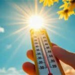 الأرصاد الجوية تحذر من الشبورة وتوضح حالة الطقس حتى الجمعة