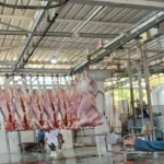 وزارة الأوقاف تواصل مشروع صكوك الأضاحي في المجازر المعتمدة