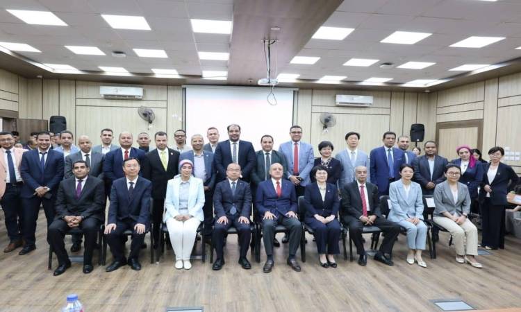 البرنامج الإقليمي الأفروعربي