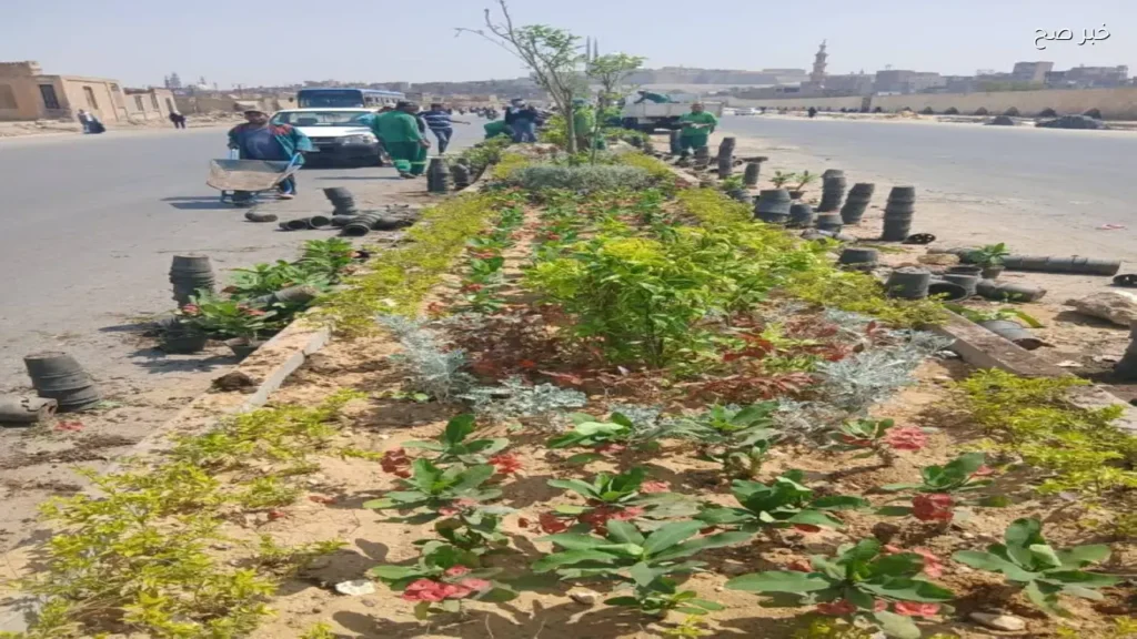 انتهاء المرحلة الرابعة من مبادرة «100 مليون شجرة» في مصر