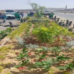 انتهاء المرحلة الرابعة من مبادرة «100 مليون شجرة» في مصر