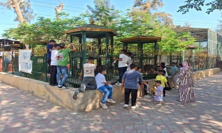 حديقة الأسماك بالزمالك