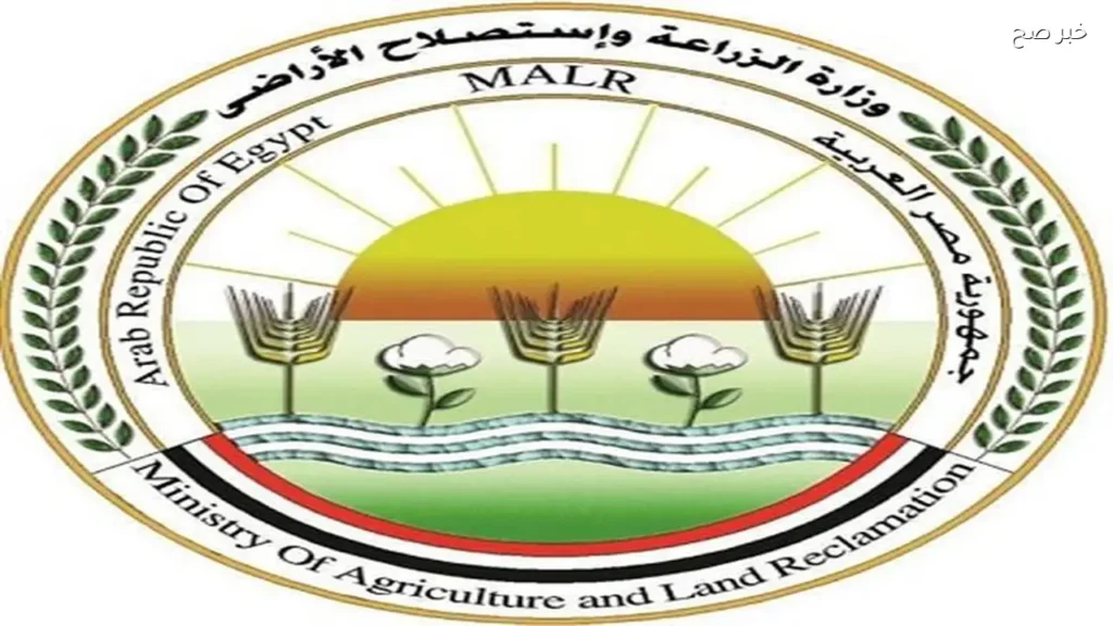 مصر تحقق نجاحًا في تصدير الخيول العربية إلى الأسواق العالمية