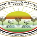 مصر تحقق نجاحًا في تصدير الخيول العربية إلى الأسواق العالمية