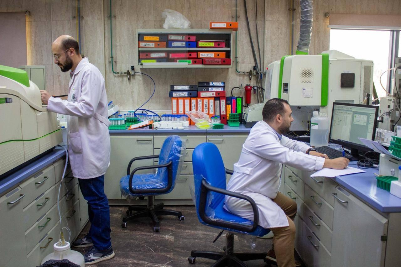 فحص أكثر من 2500 عينة غذائية