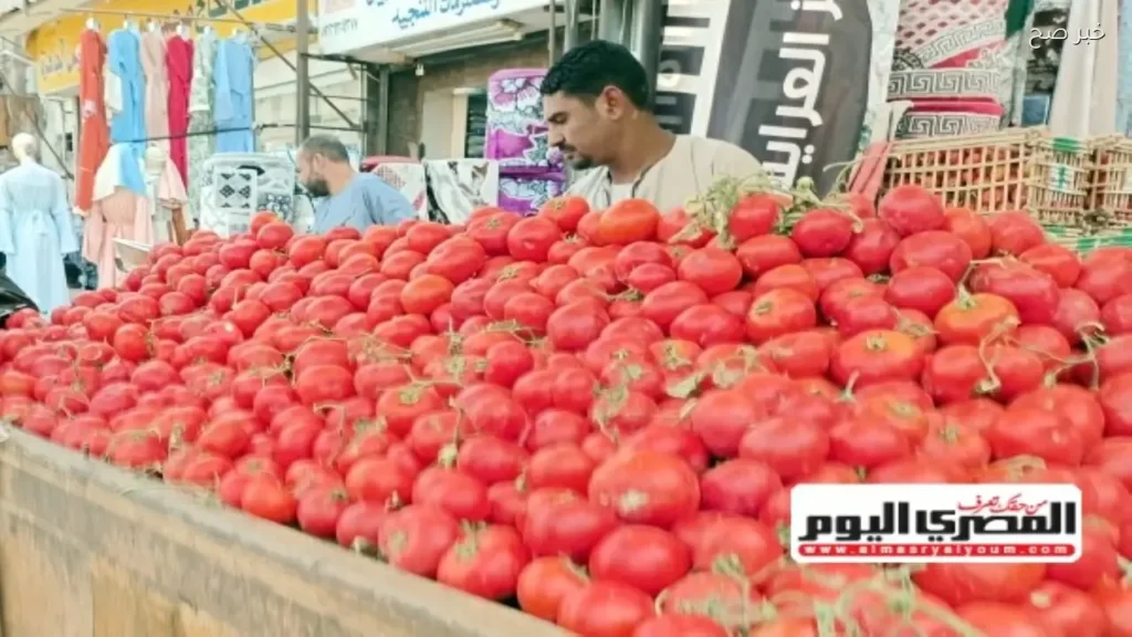 استقرار أسعار الخضار والفاكهة في مطروح اليوم الأحد