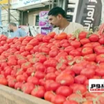 استقرار أسعار الخضار والفاكهة في مطروح اليوم الأحد