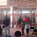 615 أضحية تُذبح في المجازر الحكومية بالغربية خلال عيد الأضحى