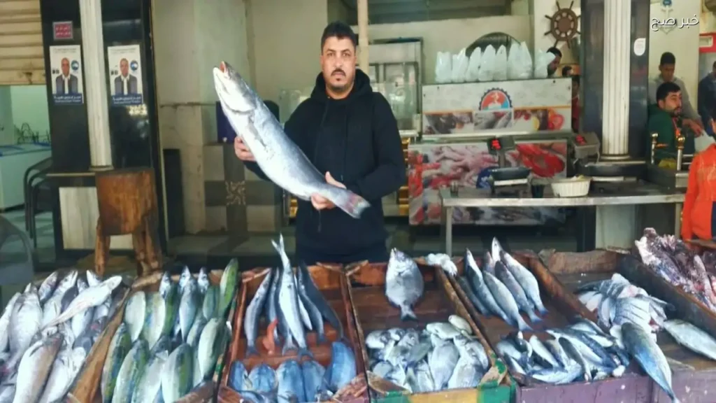 استقرار أسعار الأسماك في مطروح اليوم مع تسجيل الفيليه بـ190 جنيهًا