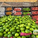 استقرار أسعار الخضار والفاكهة في أسواق الشرقية اليوم