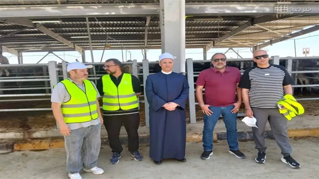 وزارة الأوقاف تبدأ ذبح الأضاحي تحت إشراف بيطري في المجازر المعتمدة