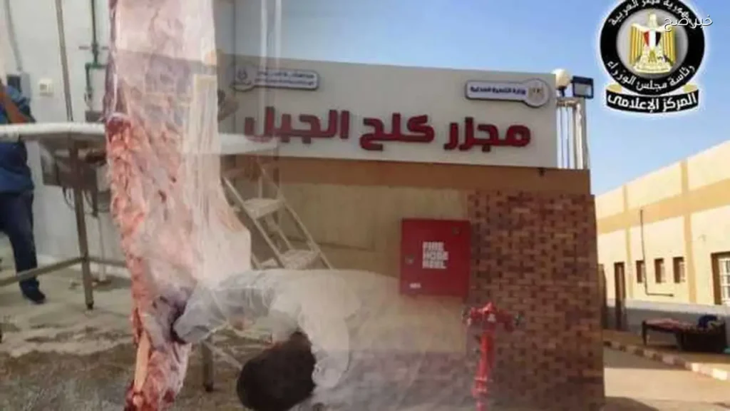 افتتاح مجزر كلح الجبل بإدفو بطاقة 20 رأس ماشية