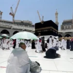 24 لجنة ميدانية لخدمة حجاج السياحة خلال موسم الحج