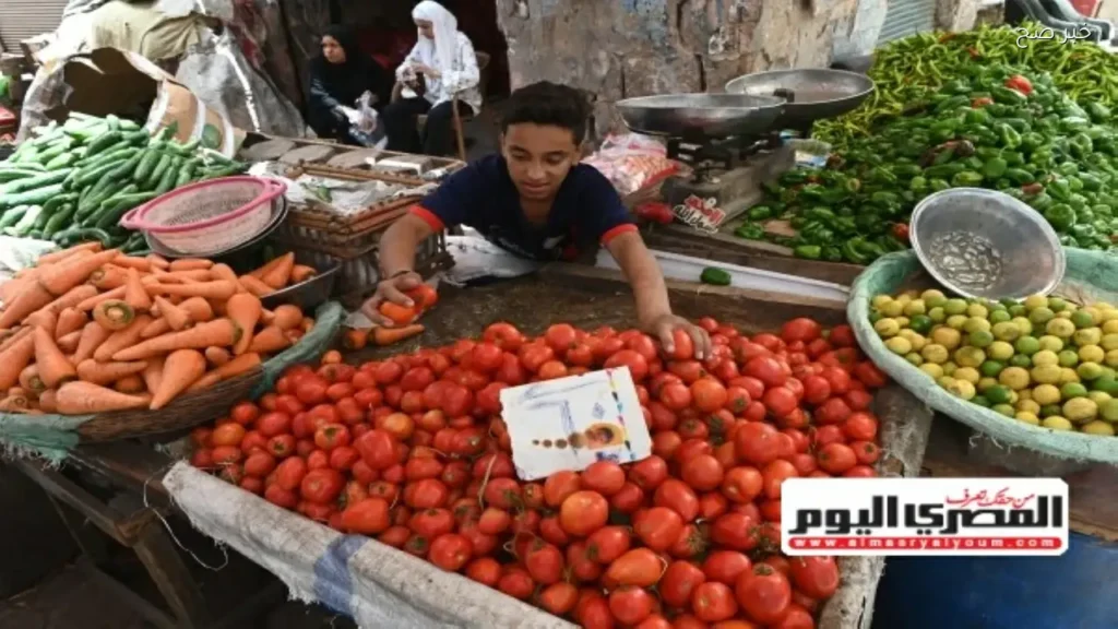 توقعات بتراجع أسعار الطماطم إلى 15 جنيهًا خلال 20 يومًا