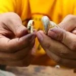 تراجع أسعار الذهب اليوم مع استمرار الأزمات الجيوسياسية