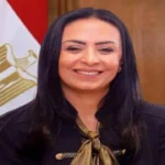 تسليم 740 طفلًا لأسر بديلة كافلة منذ يوليو 2024