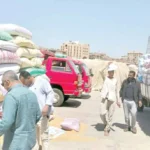 توريد 520 ألف طن من القمح في الوادي الجديد حتى الآن