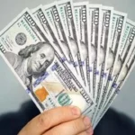 استقرار سعر الدولار مقابل الجنيه خلال عيد الأضحى