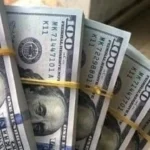 استقرار سعر الدولار أمام الجنيه المصري اليوم الخميس