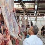 أسوان تقدم خدمات ذبح الأضاحي بالمجان خلال عيد الأضحى