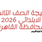نتيجة الصف الثالث الابتدائي في القاهرة متاحة خلال ساعات بالرقم القومي