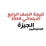 نتيجة الصف الرابع الابتدائي في الجيزة متاحة قريبًا بالرقم القومي